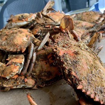 Bo Brooks Seafood Restaurant signature dishes Seafood Club
Crab Pretzel
Chesapeake Toast